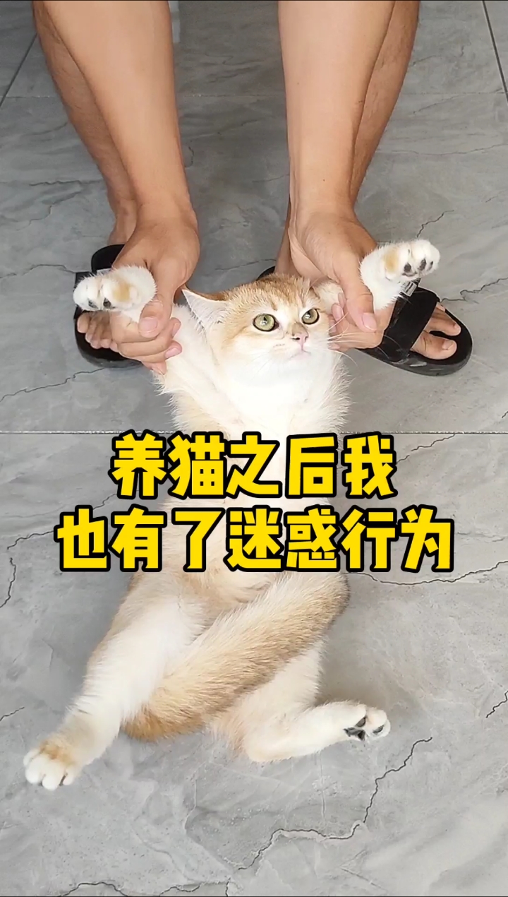 #神宠来袭#竟一时语塞,不知道说什么文案了