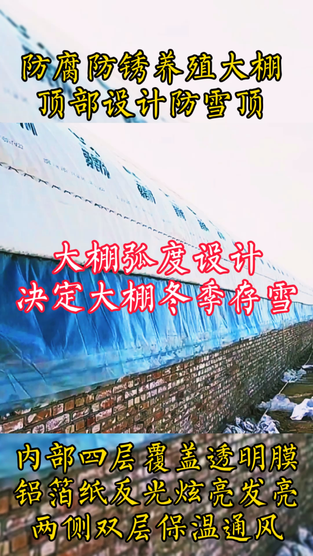 #养殖大棚～徐立源##养殖大棚#养牛大棚#养猪大棚#养羊大棚#养鸡大棚#养鸭大棚#鸵鸟大棚