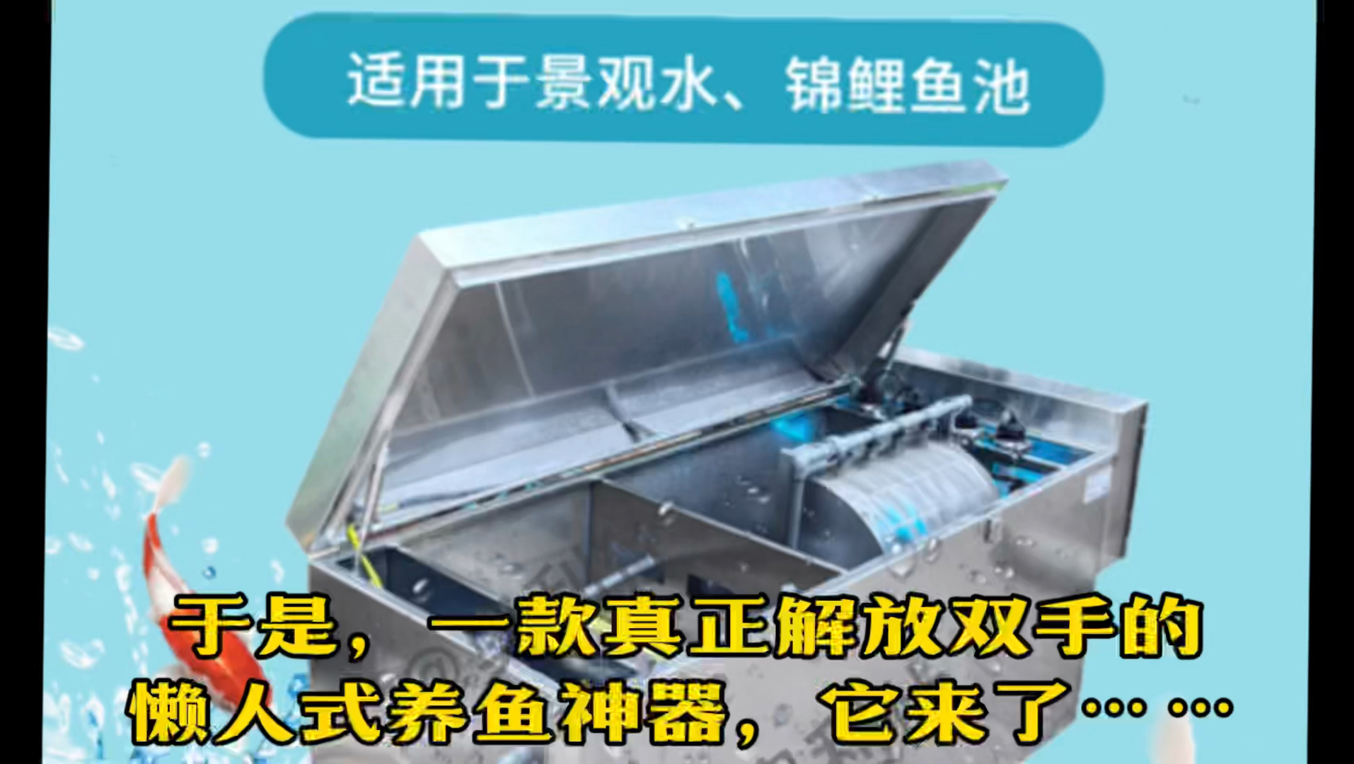 一款真正解放双手的懒人式养鱼神器,它来了~~~