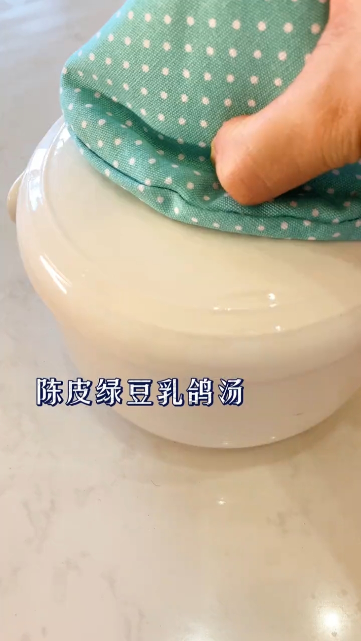 陈皮绿豆乳鸽汤