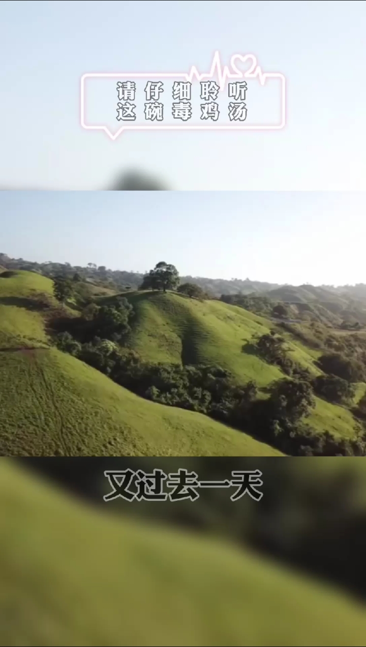 #毒鸡汤#干了这碗毒鸡汤