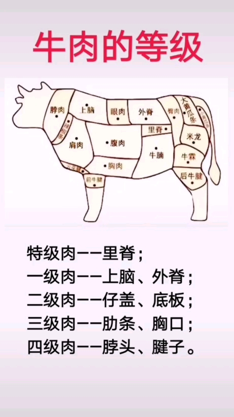 牛肉的等级。里上仔肋脖脊脑盖条头外底胸腱脊板口子