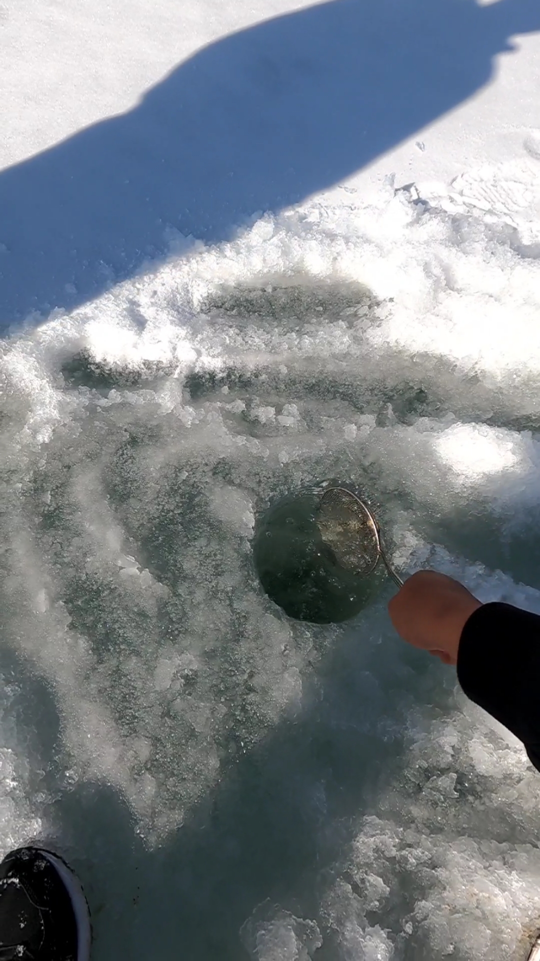 #钓鱼#北方冰钓公鱼