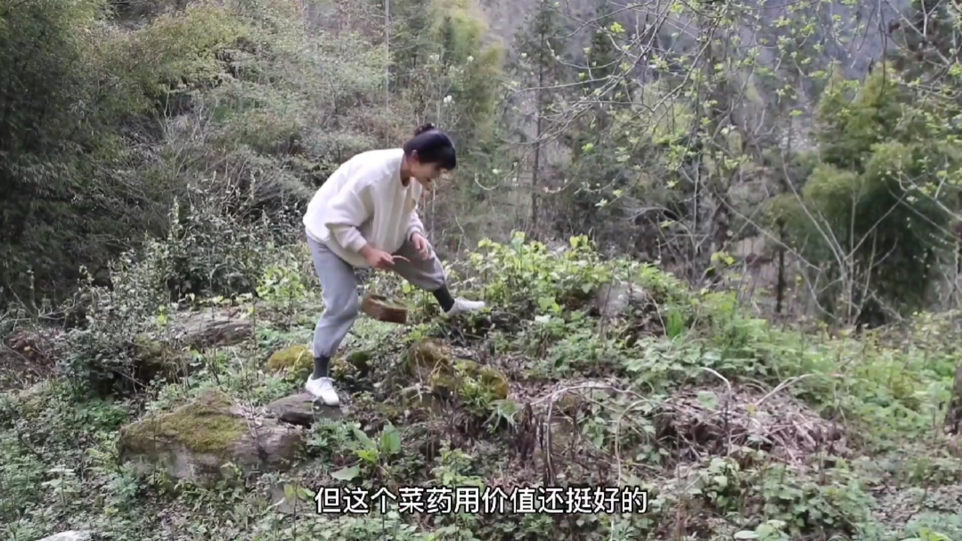 #在家做个拿手菜#摘了半篮鸭脚板儿,挖出地窖的萝卜,做晚饭(二)