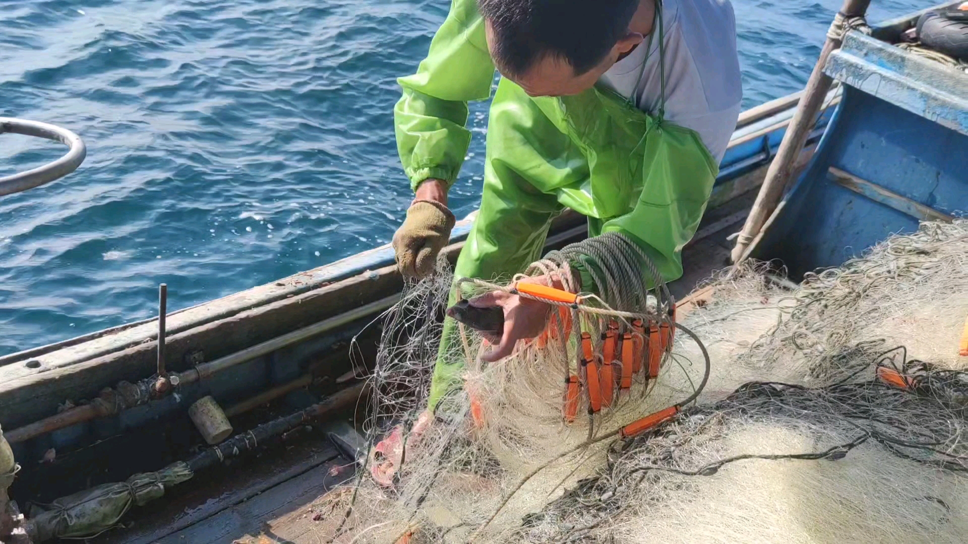 #轻知计划#捕获一个想“吃人”的八爪鱼,紧紧的把大腿给咬住了,好难挣脱开(中)