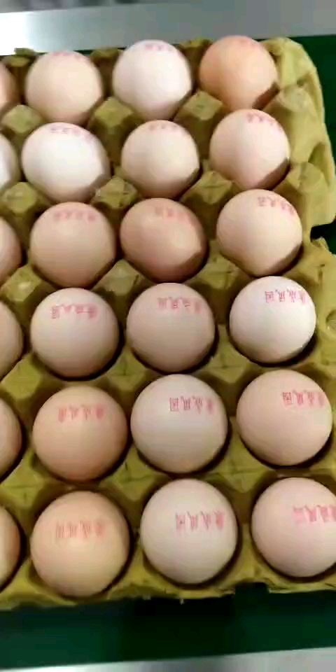 #鸡蛋喷码机#鸡蛋上印上标志:俺们鸡蛋也是有名称滴