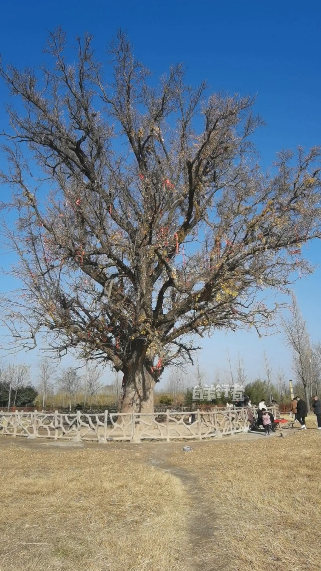 #乡村生活#那些不能发在朋友圈无法和家人朋友诉说的那些你暗自消化的情绪才是你真正的生活