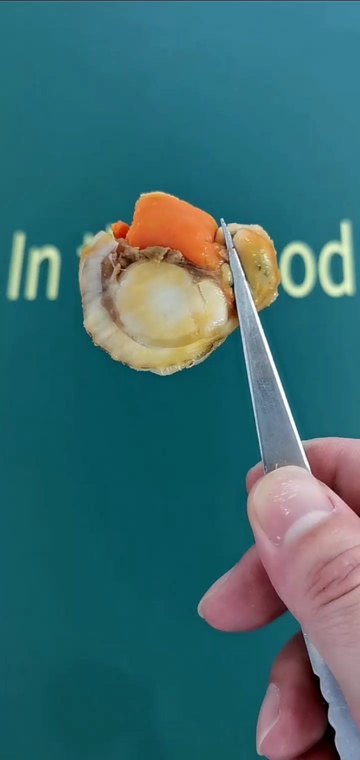 #美食教程#扇贝肉这样清理吃起来口感最佳