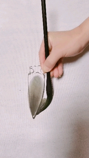 #我要上热门#可爱鱿鱼画法