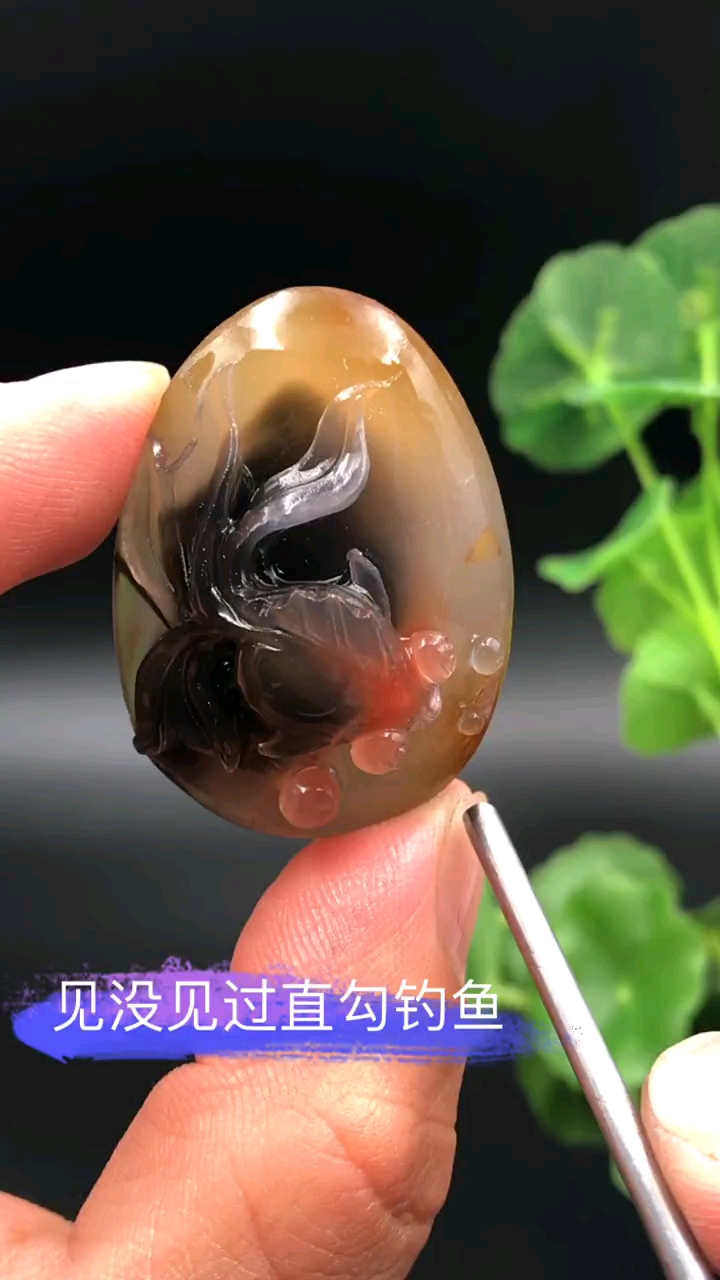 #翡翠#俏色小金鱼。