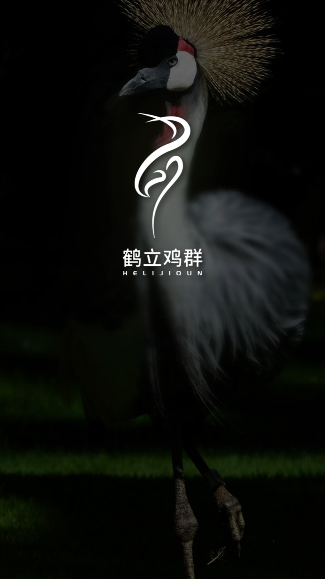 #logo设计#做完这个LOGO,爸爸对我又爱又气。