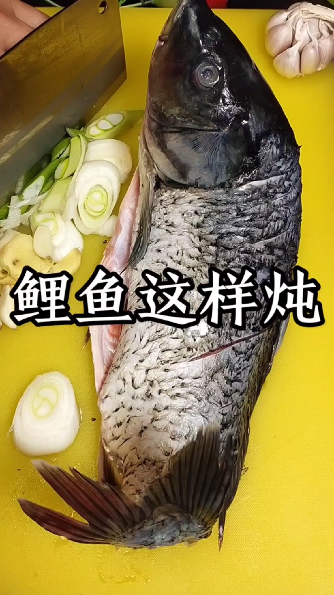 #家乡特色美食#大鲤鱼在家这样炖，好吃入味大人孩子都抢着吃！