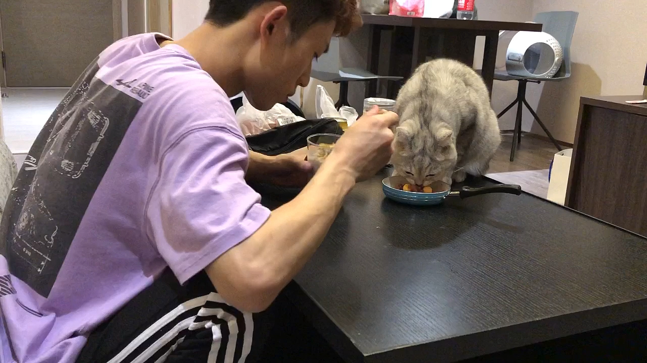 励志小馒头上线,不一样的喵生,不一样的生活,加油