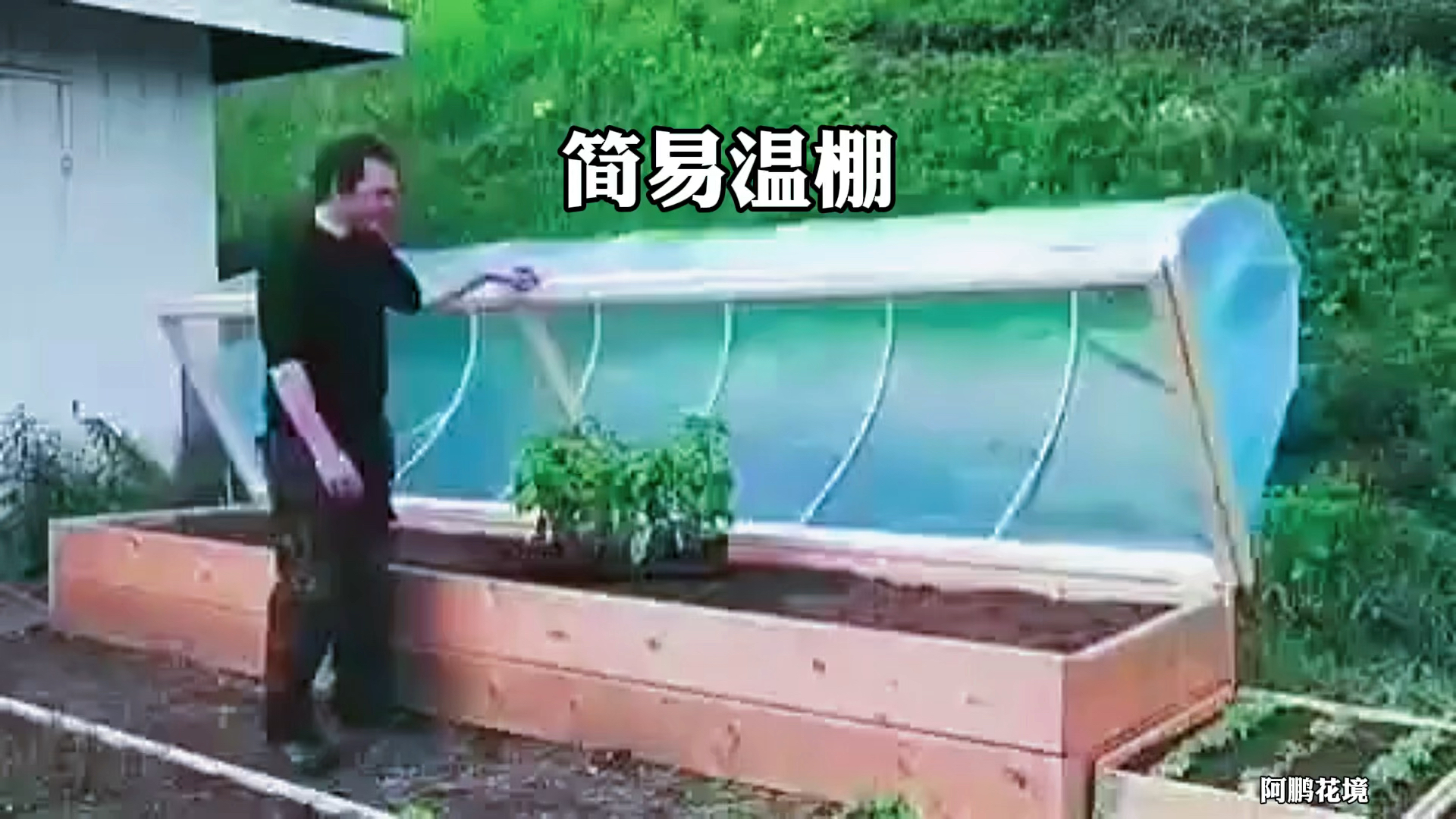 #花境#冬天了给蔬菜和花果搭个简易温棚吧