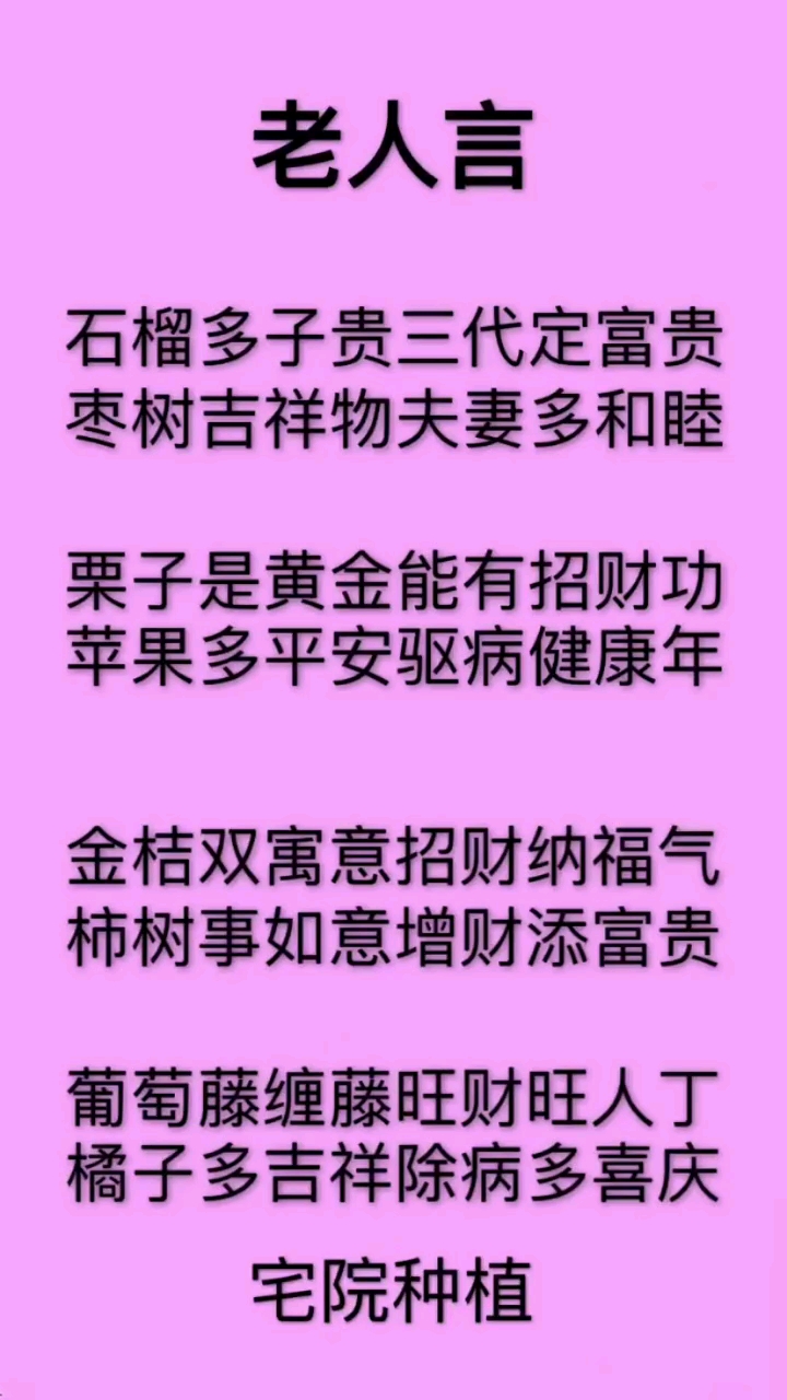 分享视频