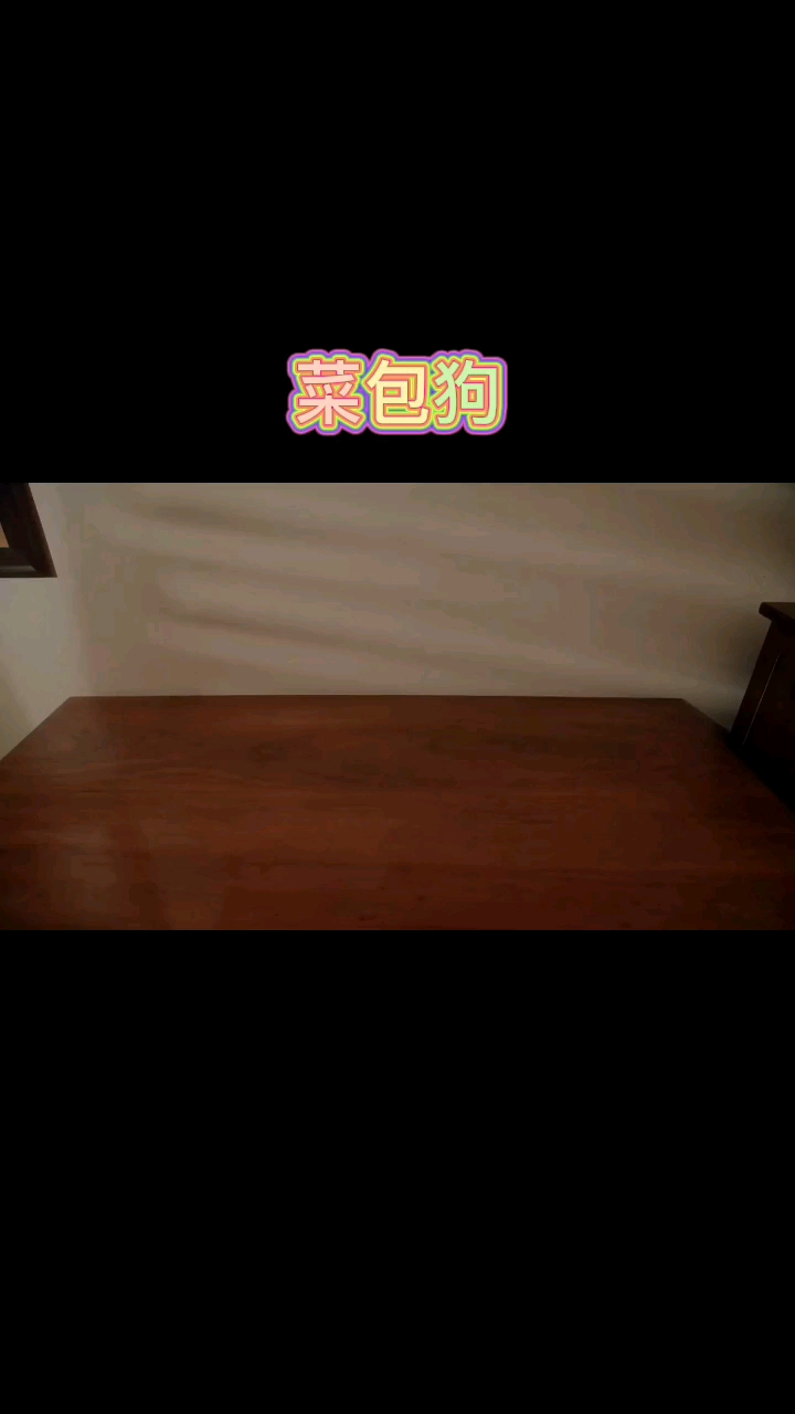 功夫兄弟与菜包狗的故事