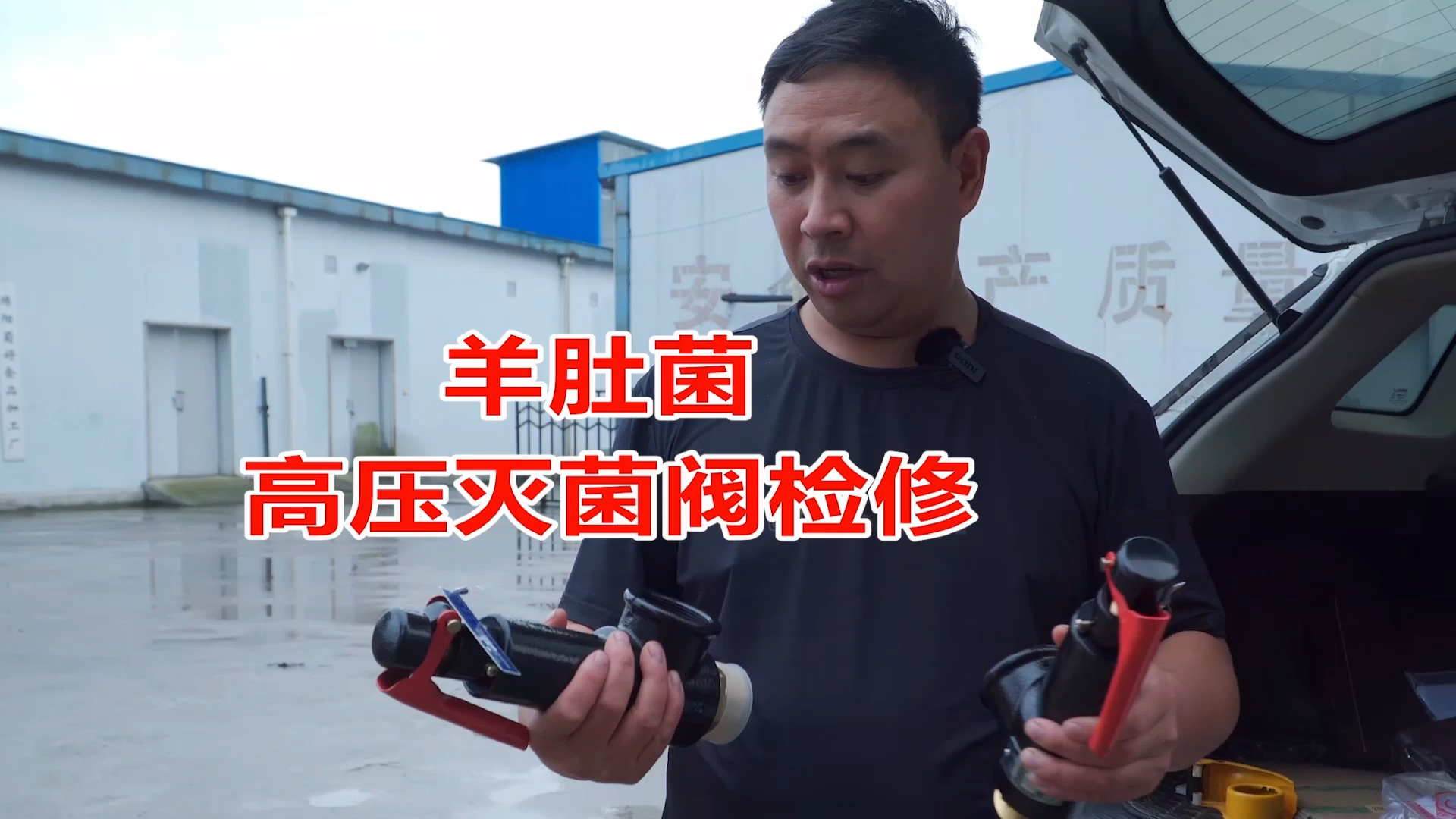 #三农#羊肚菌高压灭菌安全阀,拿去专业机构检验,检修完就开始做菌种了