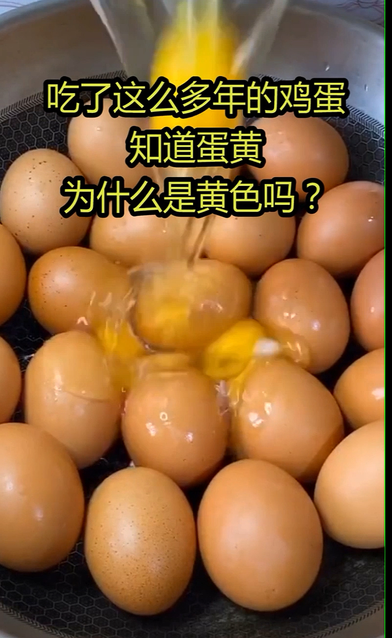 吃了这么多年的鸡蛋知道蛋黄为什么是黄色吗?