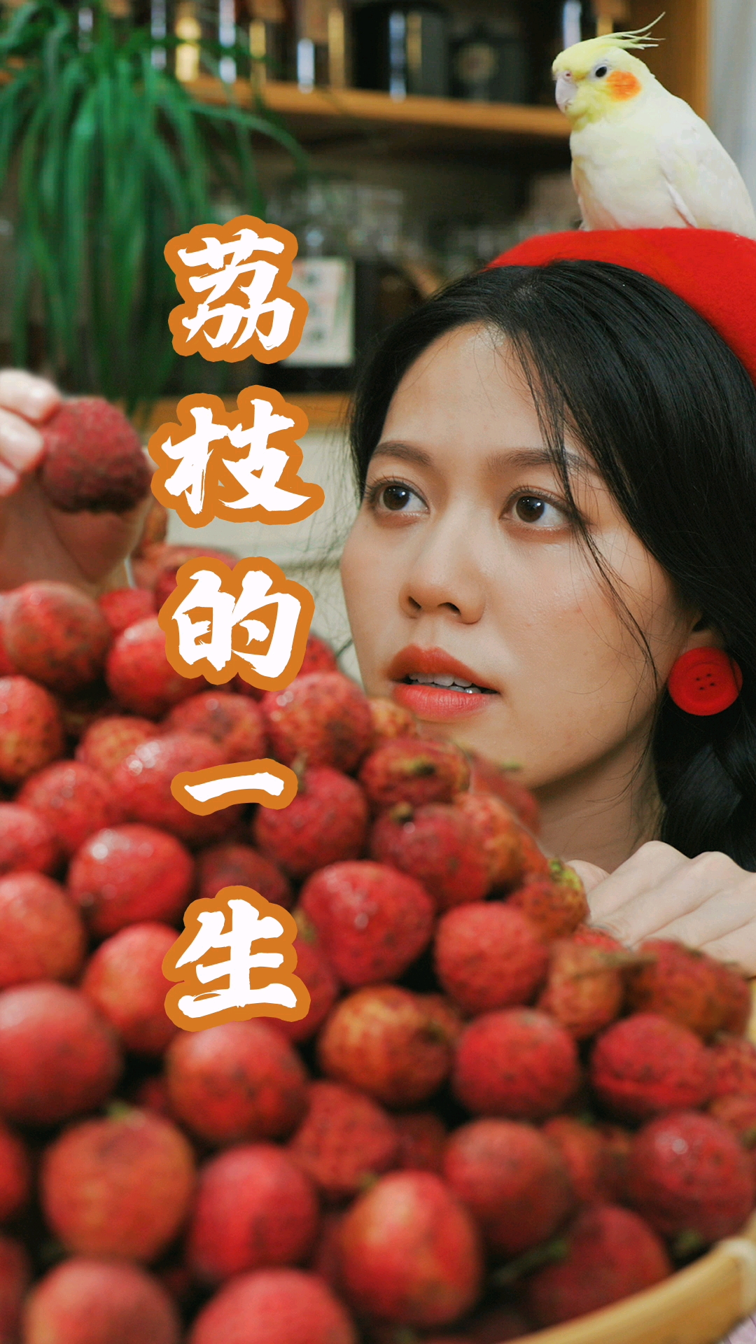 #美食#荔枝的非官方打开方式，肉泡酒，核种树，皮做香
