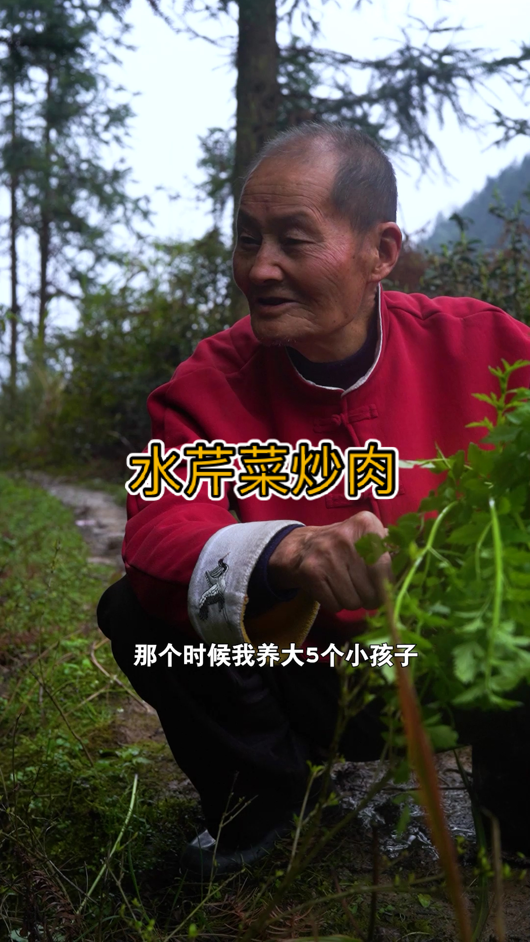 一到春天农村里就有吃不完的野味,野生的芹菜你们吃过嘛?