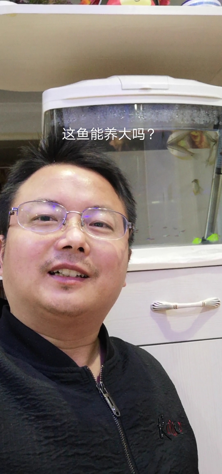 宝莲灯鱼非常的小,有养过的吗?好不好养,能长大吗?