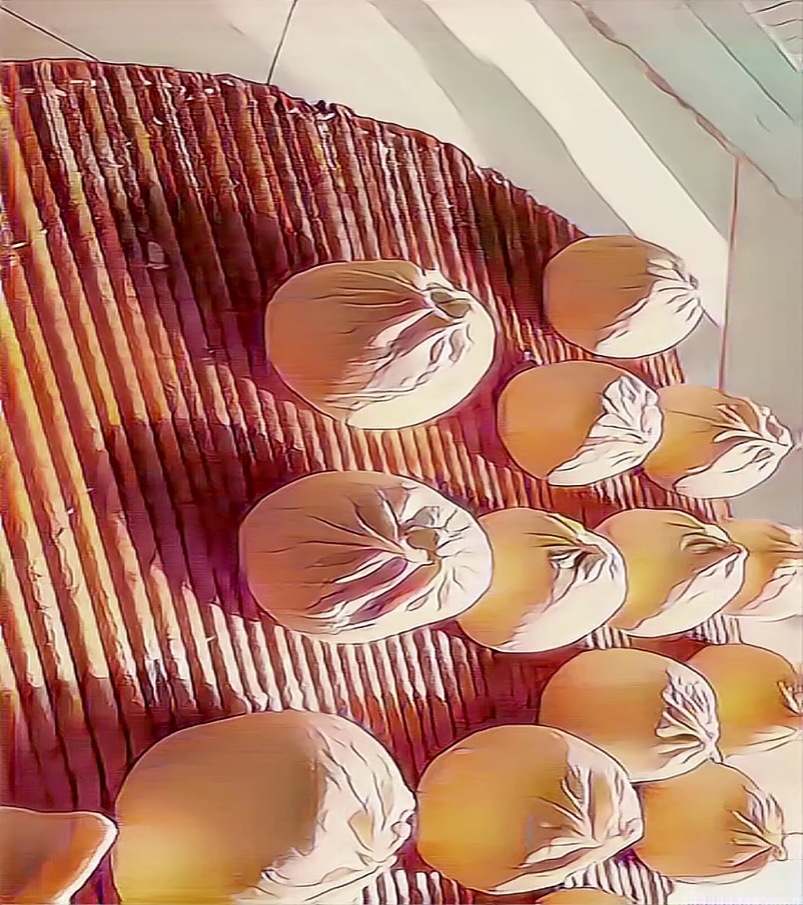 #一键动漫#包子2(动漫版)