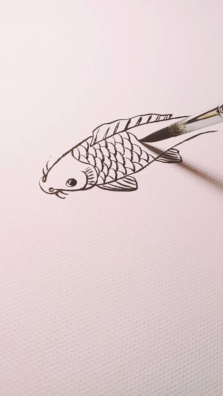 #一看就会的白描画#鱼白描画法过程