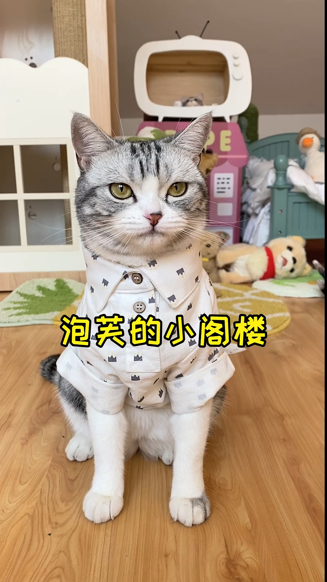 #家有猫咪#泡芙的小阁楼终于开始动工了,期待最后的效果,嘻嘻～