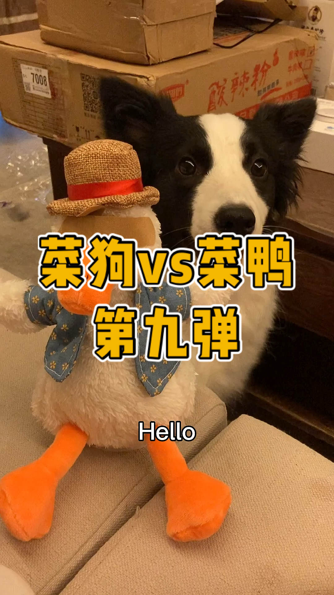 #孟菜鸭#鸭:早动手不就完了吗磨磨唧唧的!