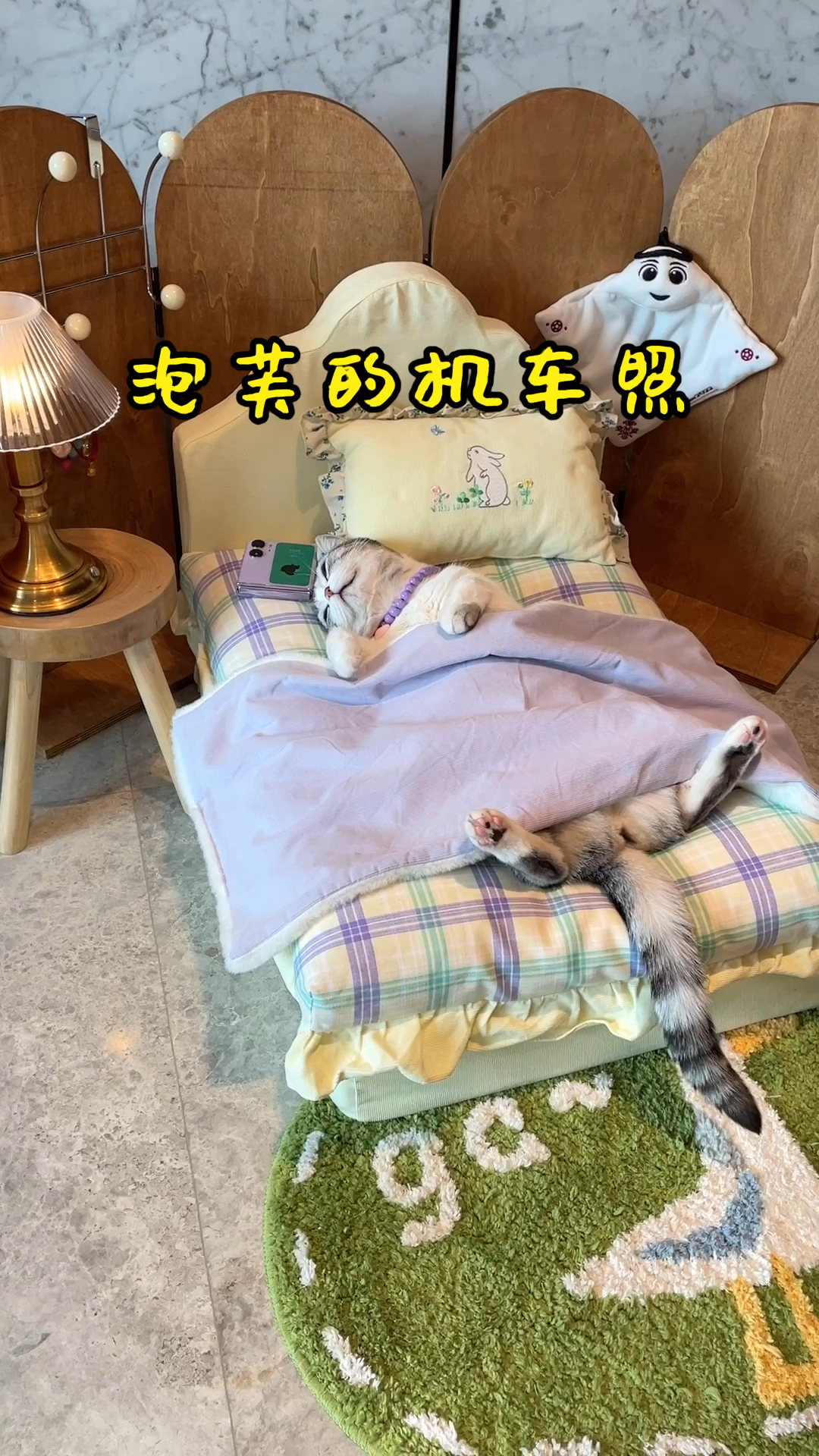 芙芙小猫咪也有头盔了就问你机车照帅不帅