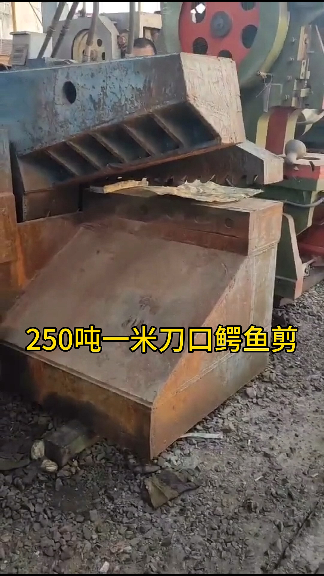 #鳄鱼剪切机#250吨鳄鱼剪彩钢瓦剪切机鳄鱼式钢板剪切机