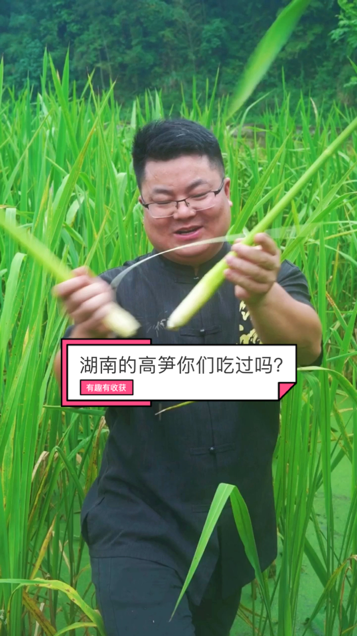 这个东西在我们湖南叫高笋,在你们那叫什么呢?