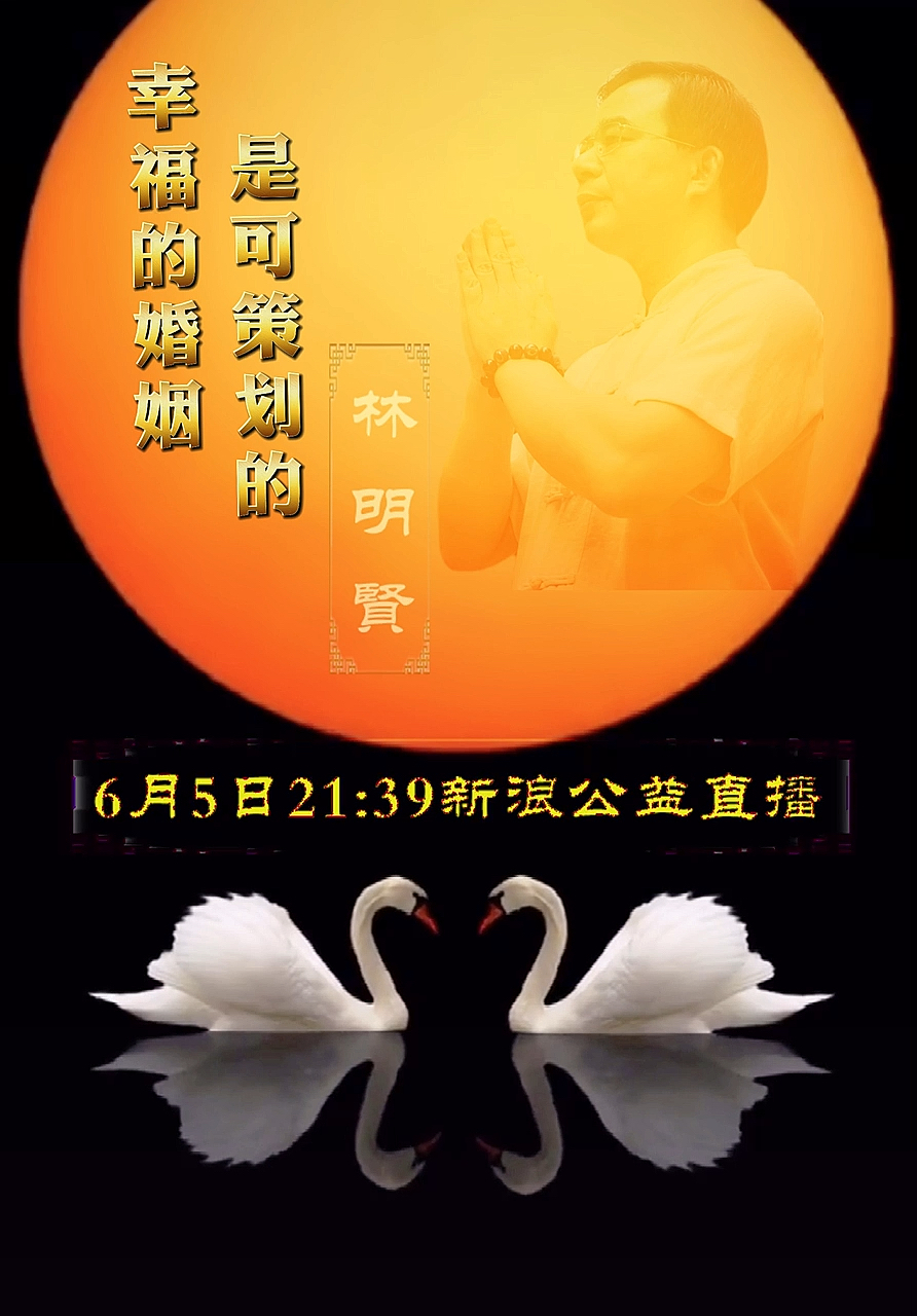 #黑天鹅#天鹅比心最珍惜爱情的#天鹅