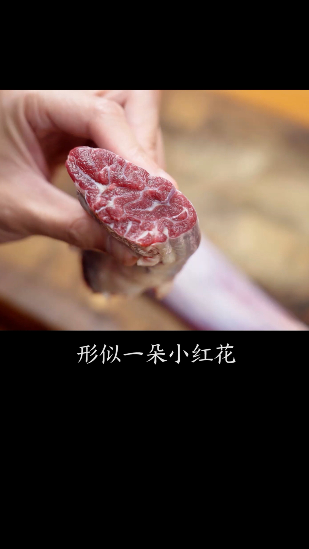 #天台食堂#世界吃货联盟公认最适合卤牛肉的部位，一头牛只有2根