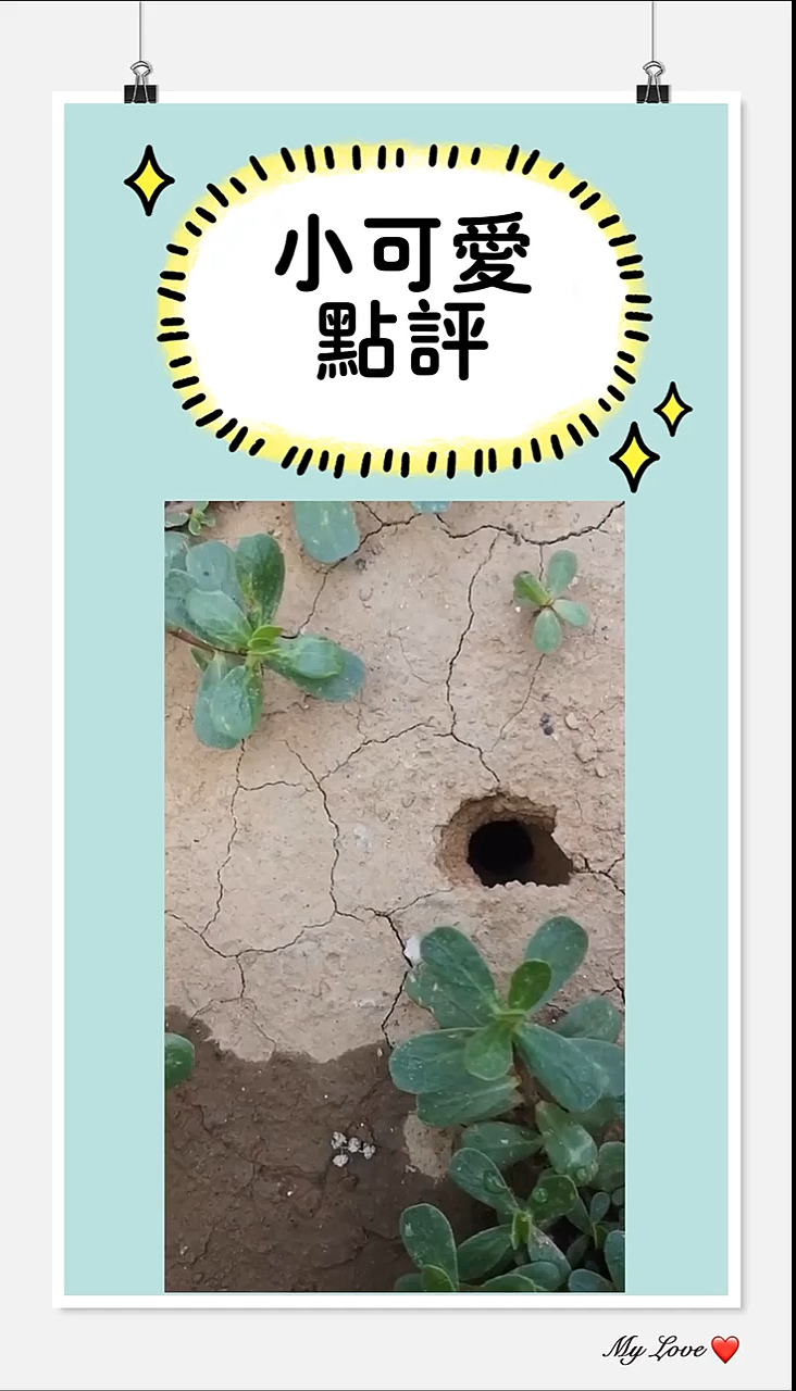 这是什么,会咬人吗?有毒吗?