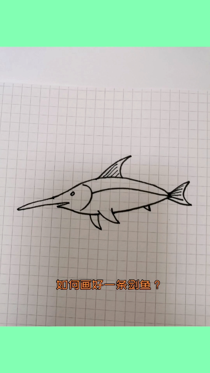 如何画好一条剑鱼。