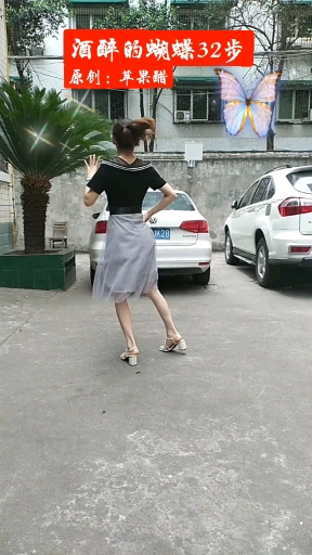 #全民正能量#酒醉的蝴蝶32步#广场舞@全民小助手