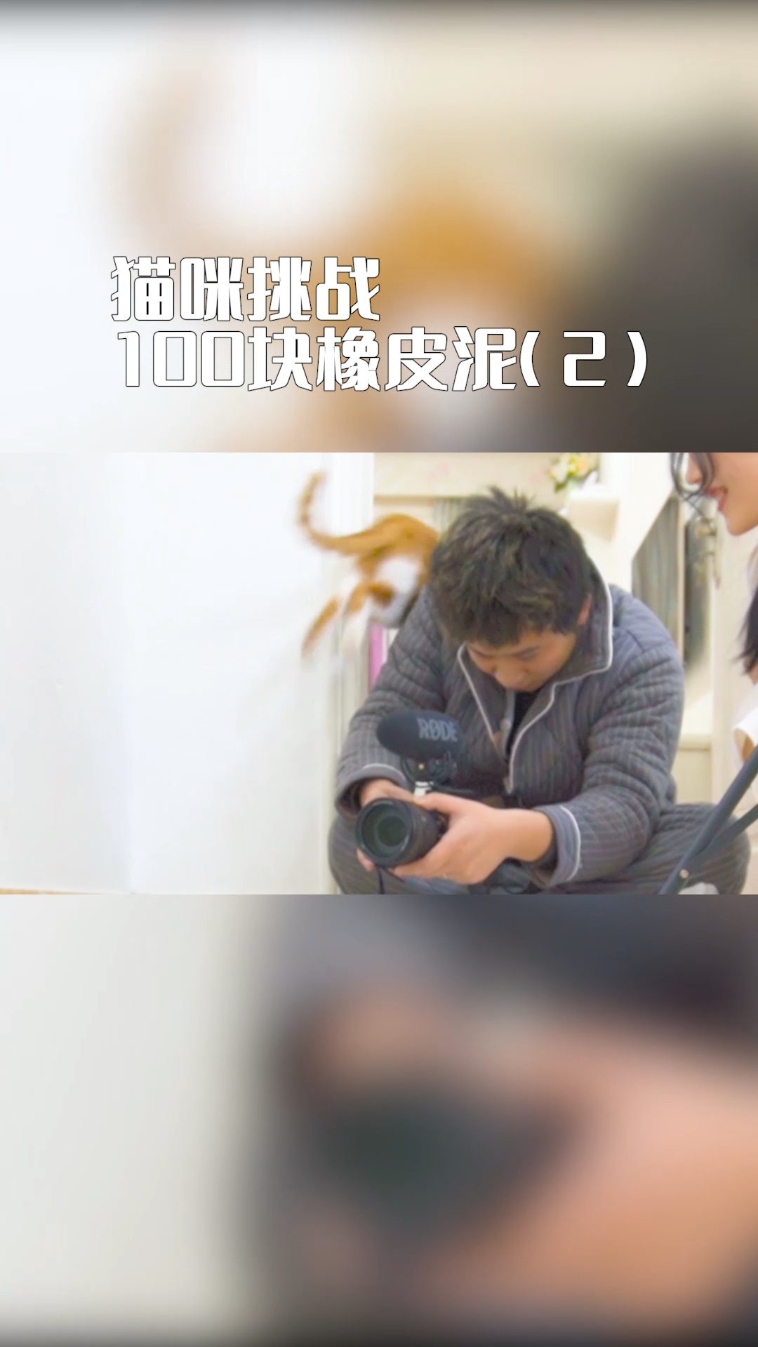 #家有萌宠#用100块橡皮泥堵住猫咪去路，猫会怎么出来？