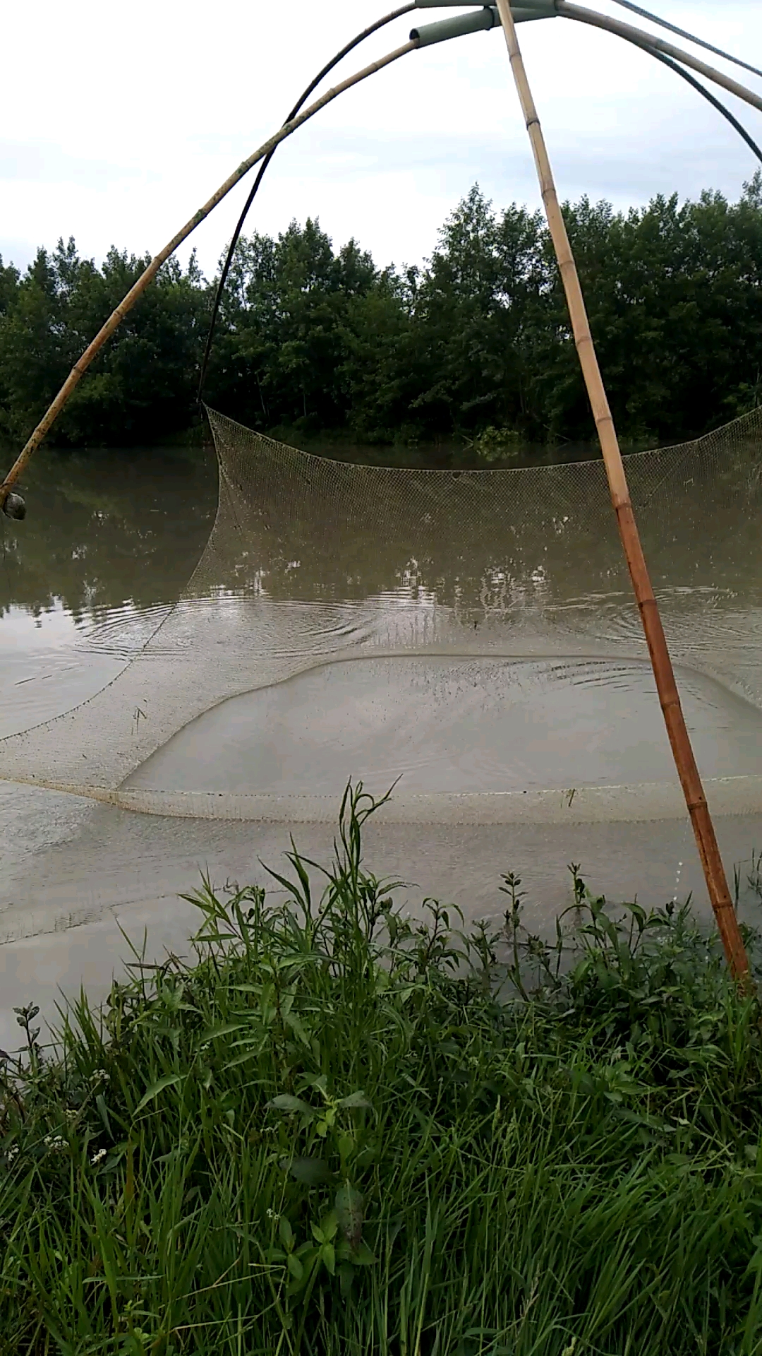 勤罾懒网饿虾耙