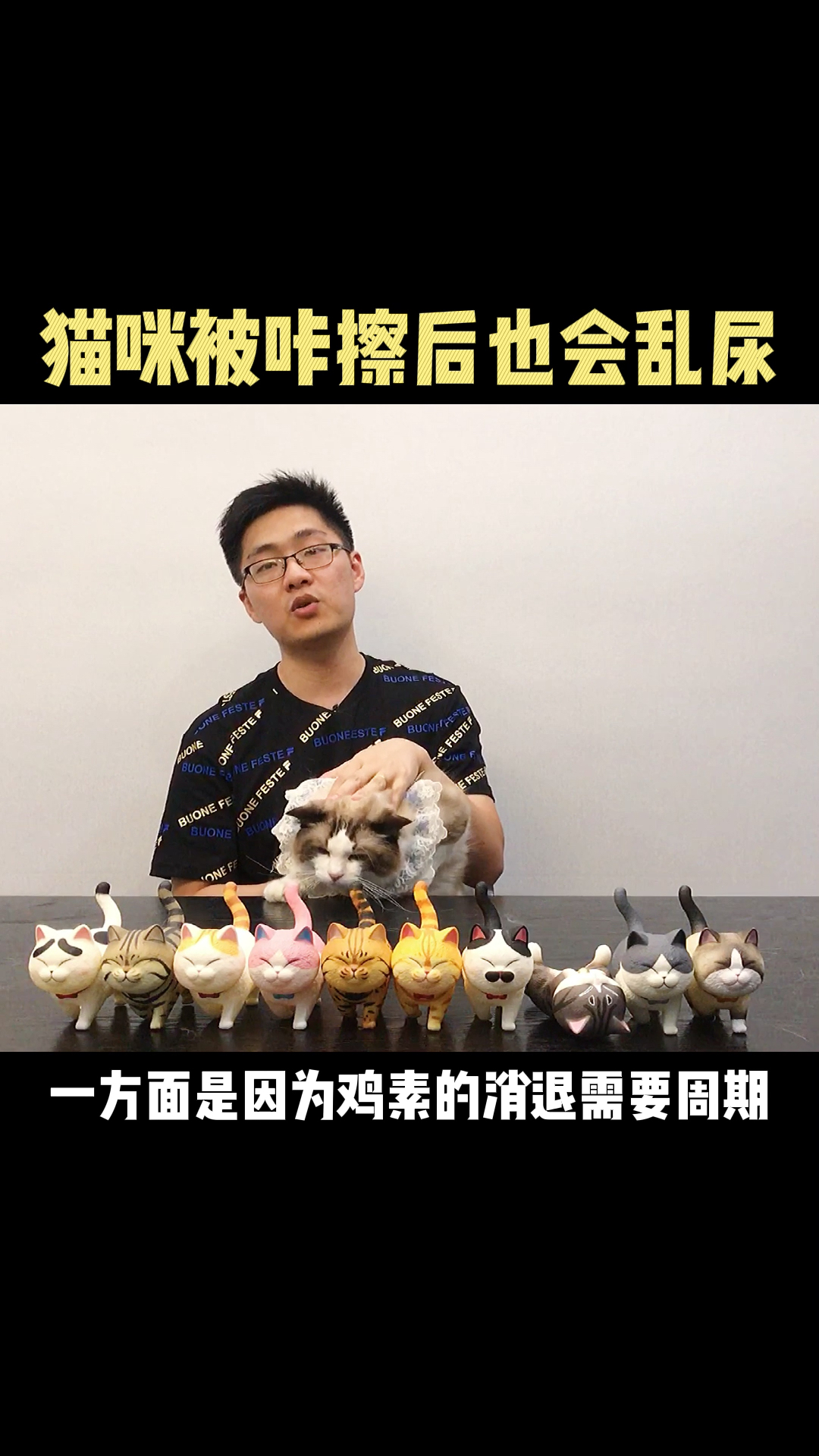 #猫#猫咪被“咔擦”后还会乱尿,先别干着急,看看是不是这三个原因