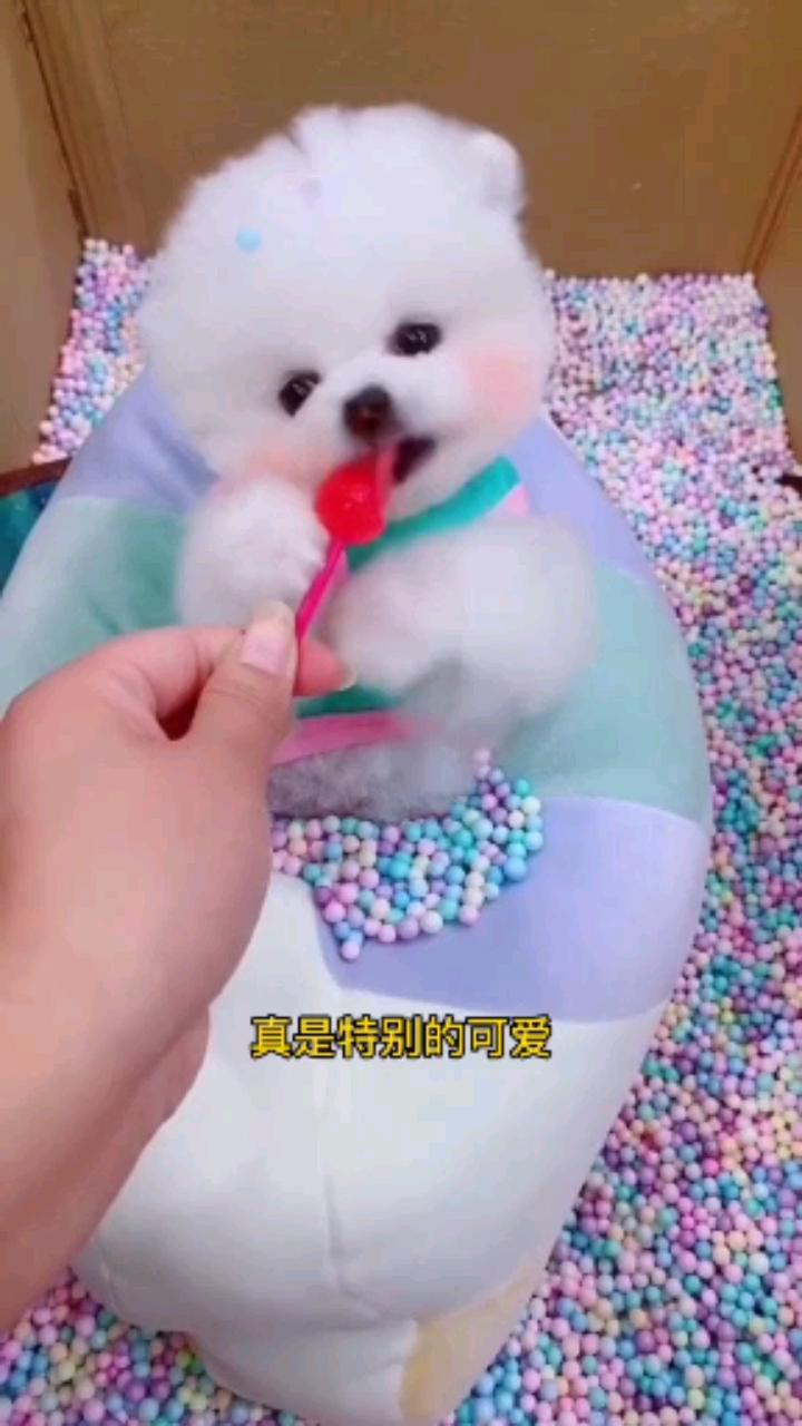 #我要上热门#小可爱的表情包get你了吗