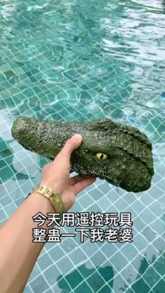 电动鳄鱼头