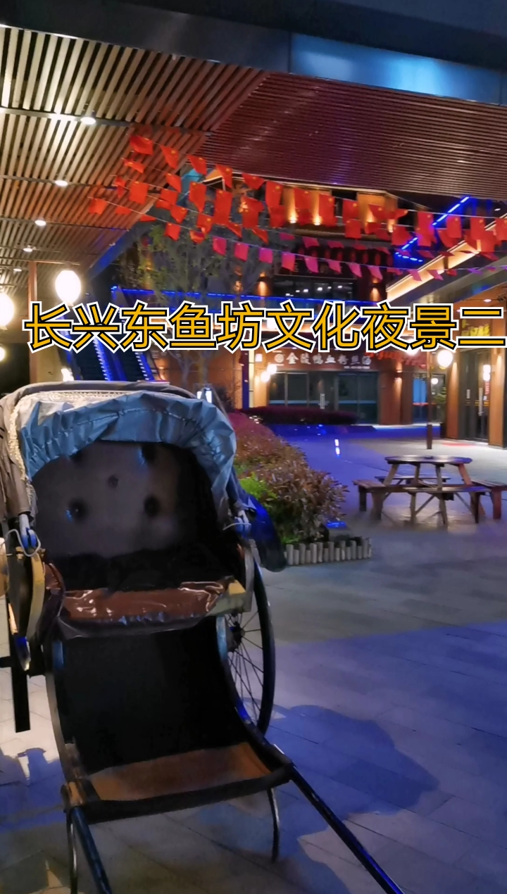 #最爱之城#长兴东鱼坊历史文化街区夜景之二