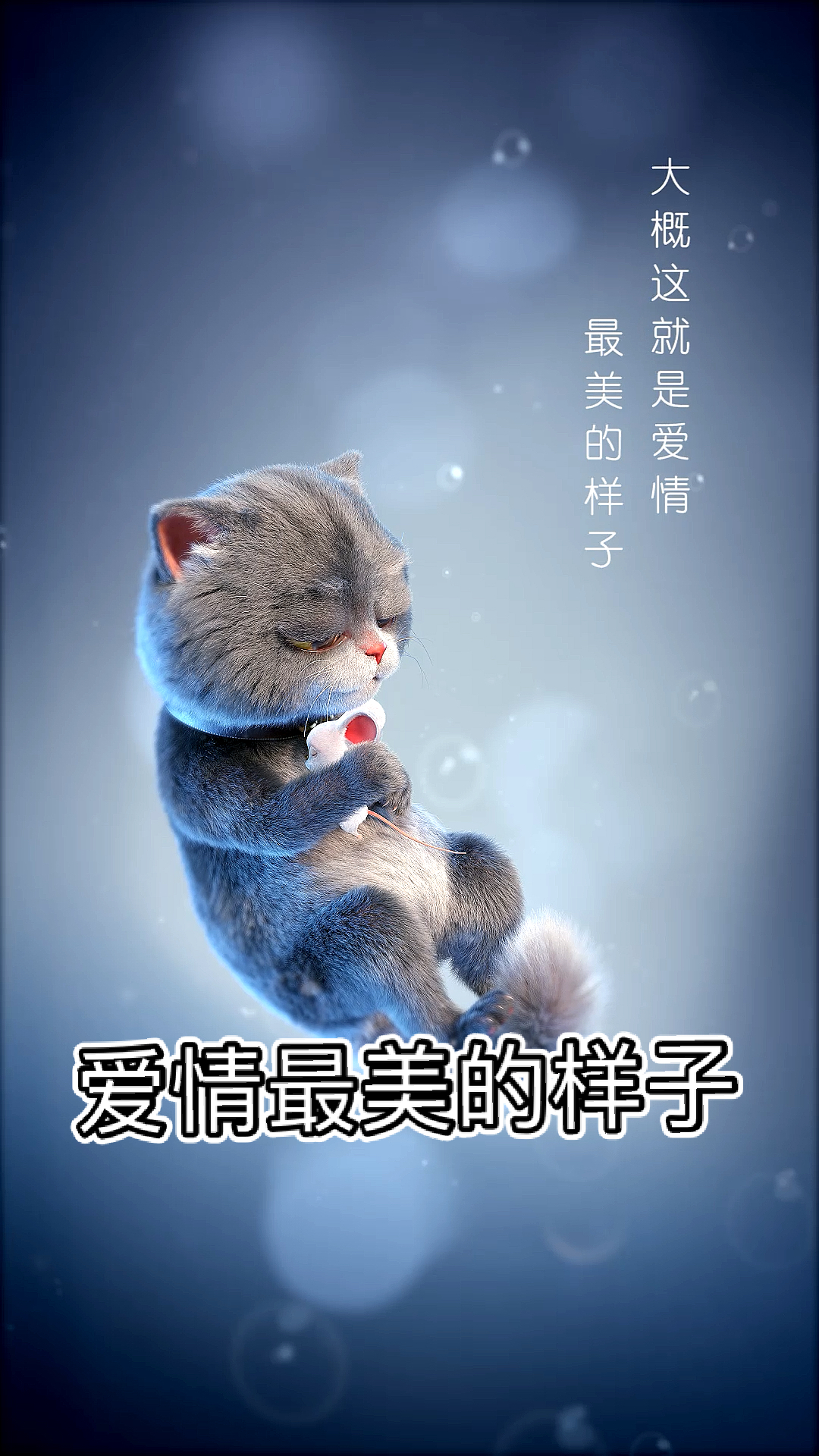 #破壳计划#这大概就是爱情最美的样子