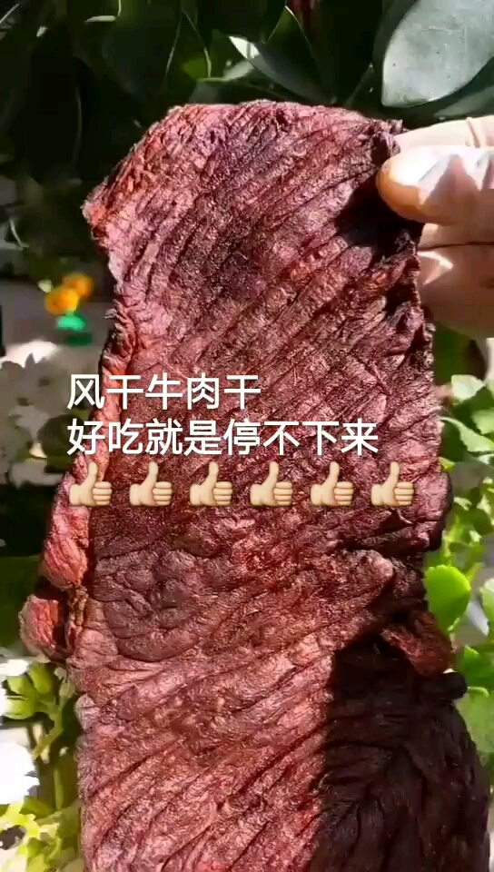 内蒙古锡林郭勒盟特产,手撕风干牛肉干好吃就是停不下来。