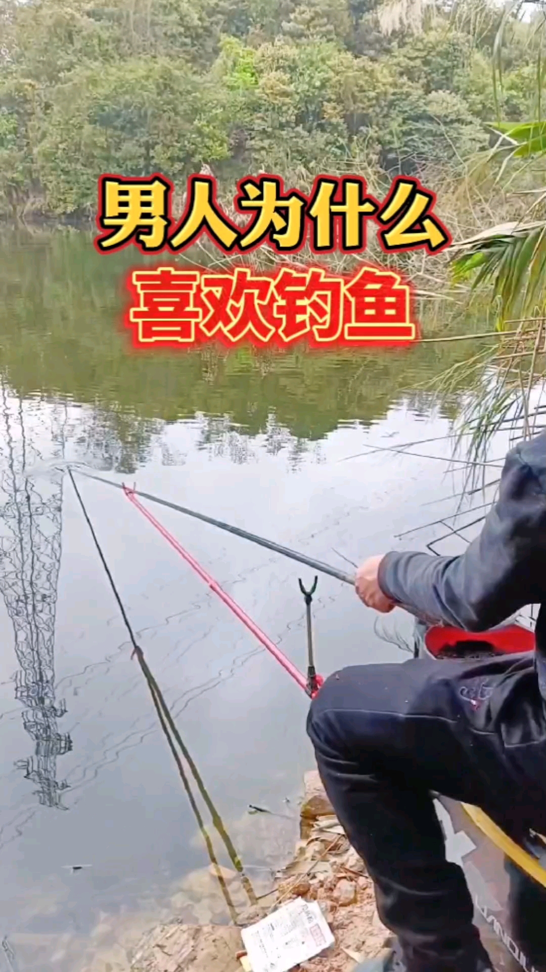 #钓鱼#为什么现在那么多男人喜欢去钓鱼,看完这个视频你就明白了