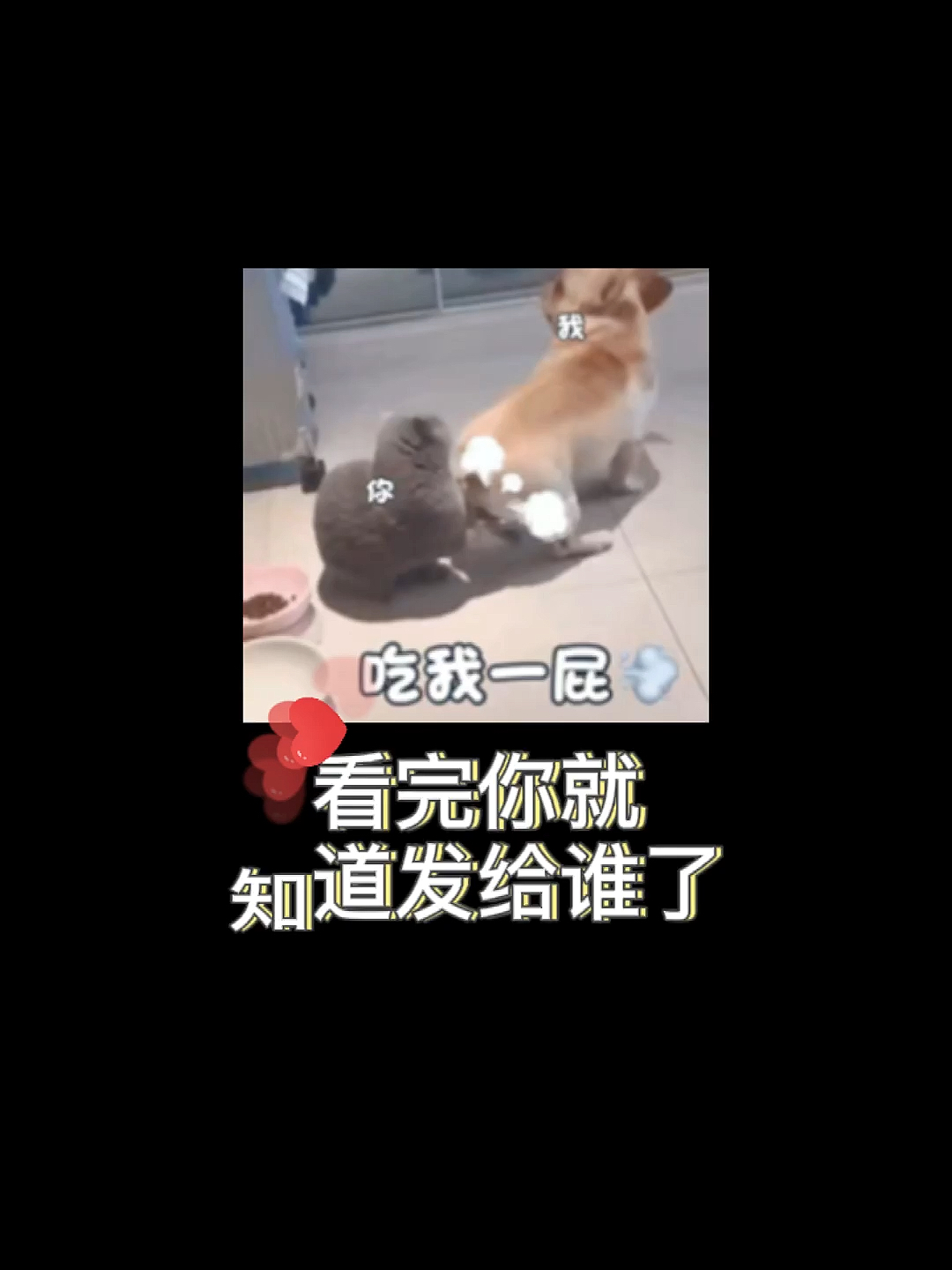 #迷惑行为大赏#这话要我怎么接??!