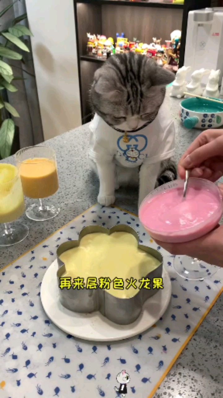 #我家宠物成精了#原来小猫咪喜欢这样的生日蛋糕
