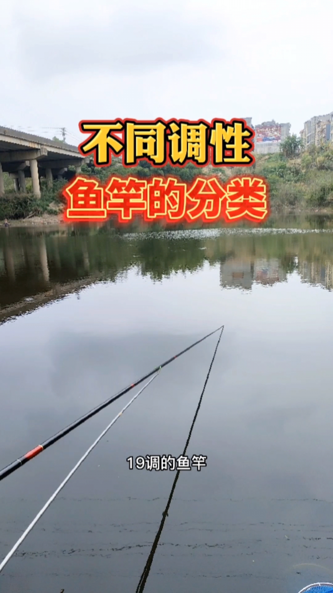 #钓鱼#鱼竿按调性分类,可以分为这几种