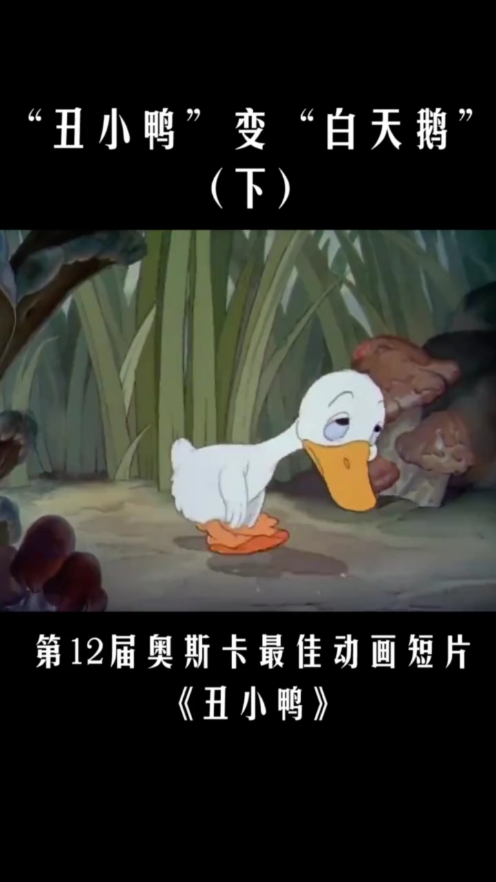 丑小鸭变成白天鹅,高贵最后被癞蛤蟆看中